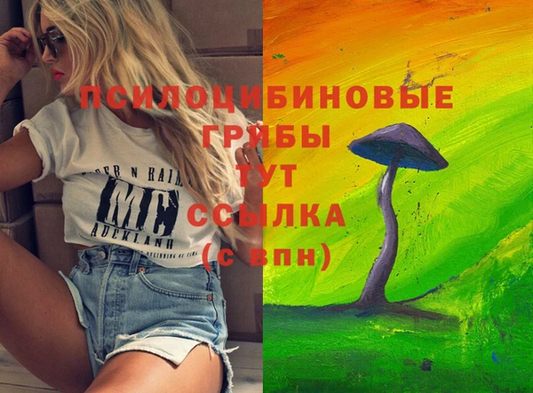 спиды Аркадак